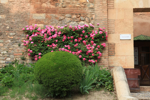 Entree van het Alcazaba
